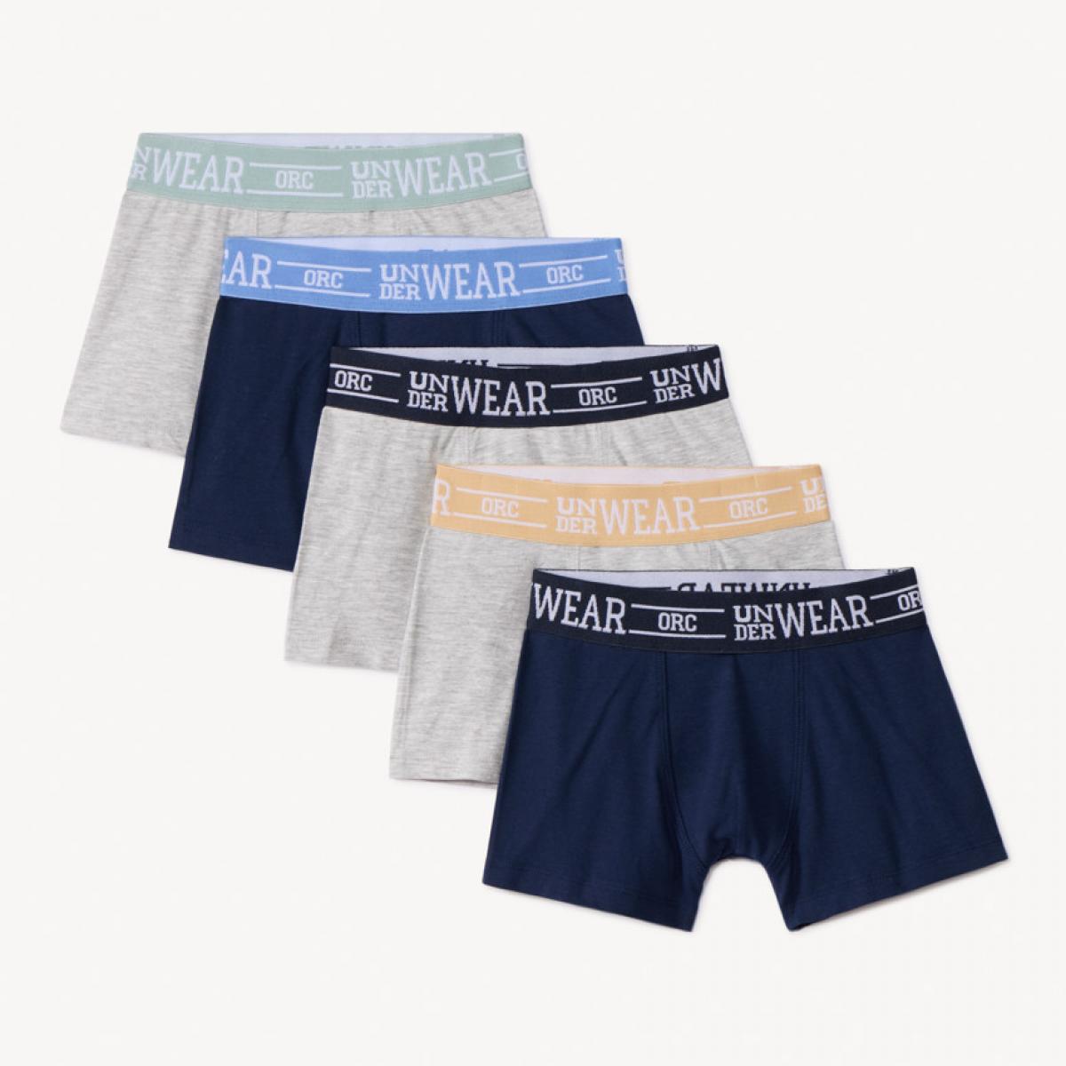 SOUS-VETEMENTS (HGAO41-GRM-14A)
